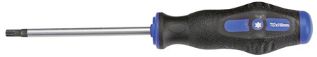 RUUVITALTTA TORX T25X100MM 284-B60-25100R